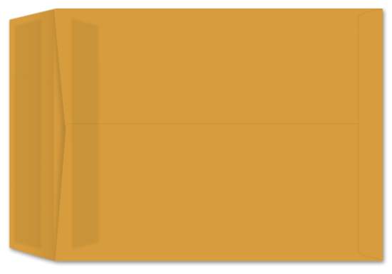 Picture of 10 X 13  28 ROPTEX® Catalog W/PRES-STIK®