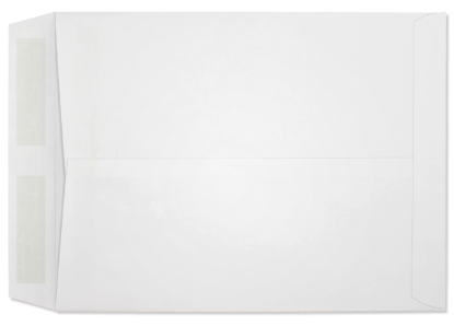 Picture of 10 X 13  24 WESTERN SULPHITE® Catalog  -BULK