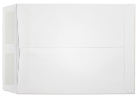 Picture of 10 X 13  24 WESTERN SULPHITE® Catalog  -BULK