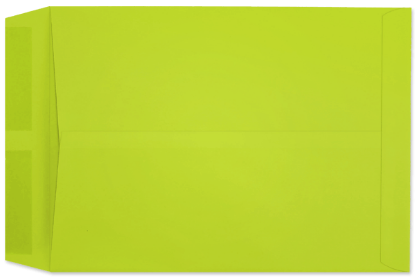 Picture of 10 X 13  28 LIME STARBURST® Catalog -BULK