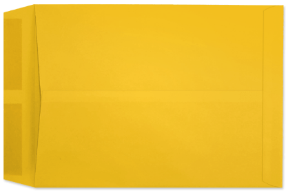 Picture of 10  X 13  28 YELLOWESTERN SULPHITE®TARBURST® Catalog-BULK