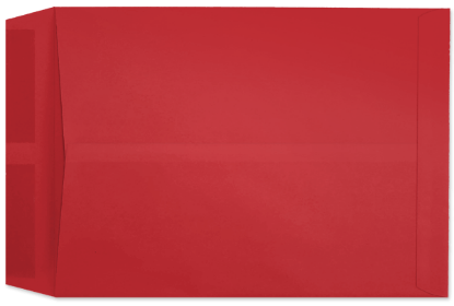 Picture of 10  X 13  28 RED STARBURST® Catalog-BULK