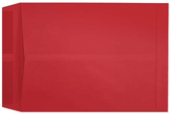 Picture of 10  X 13  28 RED STARBURST® Catalog-BULK