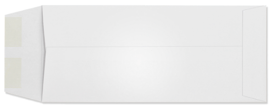 Picture of 5 X 11-1/2  28 WESTERN SULPHITE® Catalog POLICY