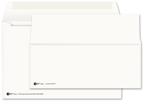 Picture of 6 X 9-1/2 WESTERN SULPHITE®  EKEY MULTIMEDIA MAILER