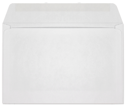 Picture of 6 X 9  24 VELPINE® Booklet SHOWCASE WINDOW  -BULK