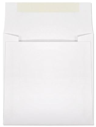 Picture of 5 X  5  28 WESTERN SULPHITE® Booklet  -BULK