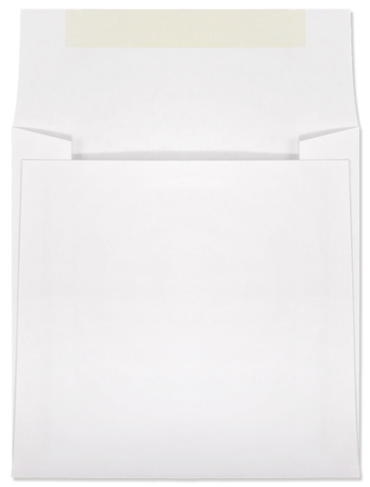 Picture of 5 X  5  28 WESTERN SULPHITE® Booklet  -BULK