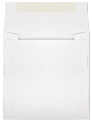 Picture of 5-1/2 X 5-1/2 28 WESTERN SULPHITE® Booklet  -BULK