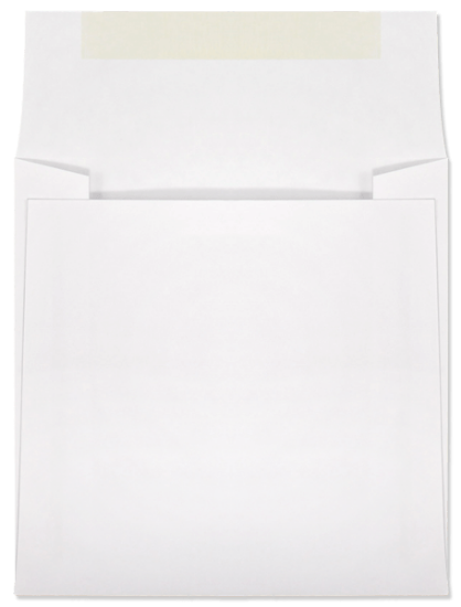 Picture of 5-1/2 X 5-1/2 28 WESTERN SULPHITE® Booklet  -BULK