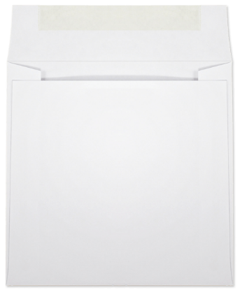 Picture of 6 X 6  28 WESTERN SULPHITE® Booklet  -BULK