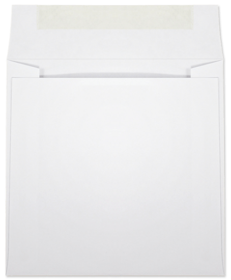 Picture of 6 X 6  28 WESTERN SULPHITE® Booklet  -BULK