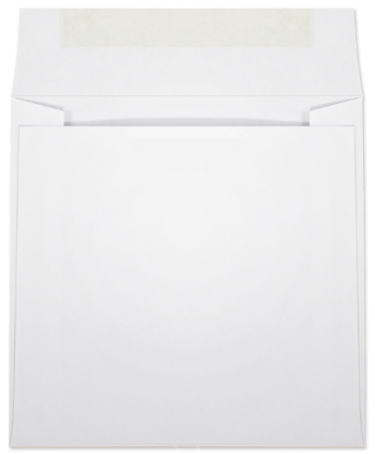 Picture of 6-1/2 X 6-1/2  28 WESTERN SULPHITE® Booklet  -BULK