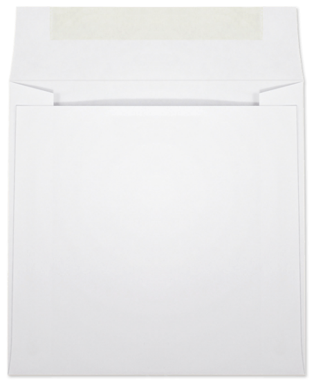 Picture of 6-1/2 X 6-1/2  28 WESTERN SULPHITE® Booklet  -BULK