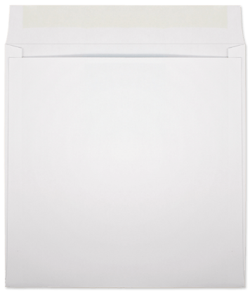 Picture of 10 X 10   28 WESTERN SULPHITE® Booklet  -BULK