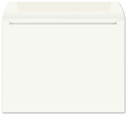 Picture of 10 X 13   28 WESTERN SULPHITE® Booklet  -BULK