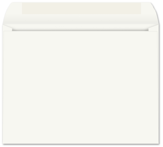 Picture of 10 X 13   28 WESTERN SULPHITE® Booklet  -BULK