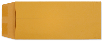 Picture of 4-1/8 X  9-1/2  28 ROPTEX® POLICY Catalog