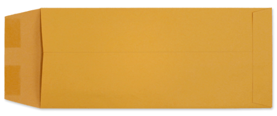 Picture of 4-1/2 X 10-3/8  28 ROPTEX® POLICY Catalog