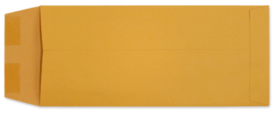 Picture of 5  X 11-1/2  28 ROPTEX® POLICY Catalog