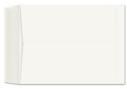 Picture of 9 X 12 28 WESTERN SULPHITE®  Catalog W/ KWIK-TAK®  -BULK