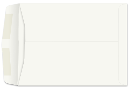 Picture of 9-1/2 X 12-1/2  28 WESTERN SULPHITE® NEO POST Catalog-BULK