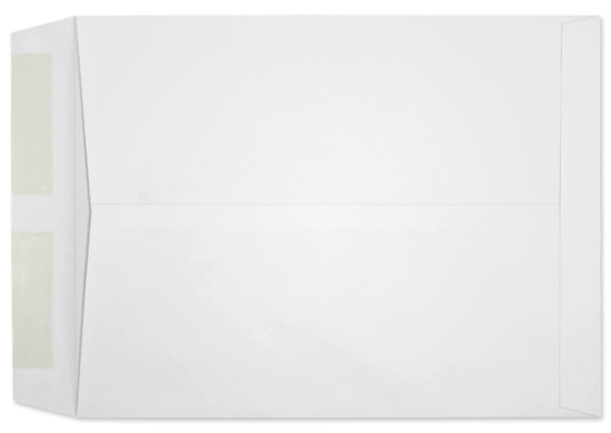 Picture of 10 X 13  24 RECOVERY® Catalog-BULK