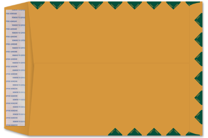 Picture of 10  X 13  28 ROPTEX® Catalog W/ KWIK-TAK® & FIRST CLASS BORDER-BULK