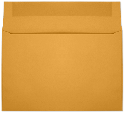 Picture of 10 X 15  28 ROPTEX®  Booklet-BULK