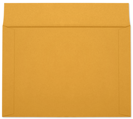 Picture of 12 X 17 40 Booklet ROPTEX®  NEGATIVE FILE