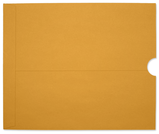 Picture of 14-1/2 X 17-1/2  32 ROPTEX®  X-RAY Catalog