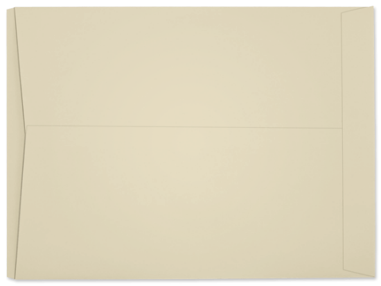 Picture of 8-3/4 X 11-1/2  100 IVORY TAG Catalog JOB TICKET