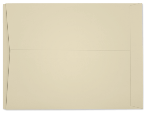 Picture of 9-1/2 X 12  100 IVORY TAG Catalog JOB TICKET