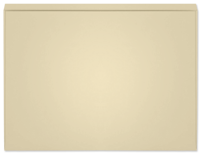 Picture of 8-3/4 X 12  100 IVORY TAG EMPLOYMENT RECORD