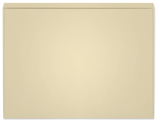 Picture of 8-3/4 X 12  100 IVORY TAG EMPLOYMENT RECORD