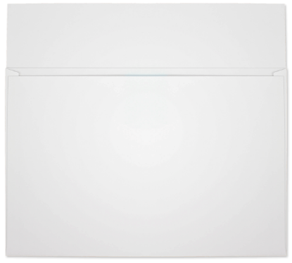 Picture of 10 X 15  100 WHITE TAG Booklet