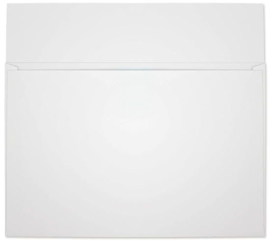 Picture of 10 X 15  100 WHITE TAG Booklet