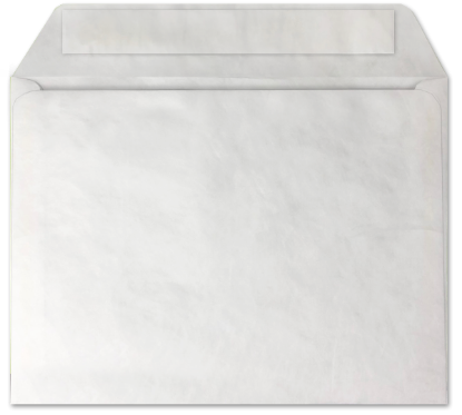 Picture of 9 X 12 14 Tyvek®® Booklet W/ KWIK-TAK®-BULK