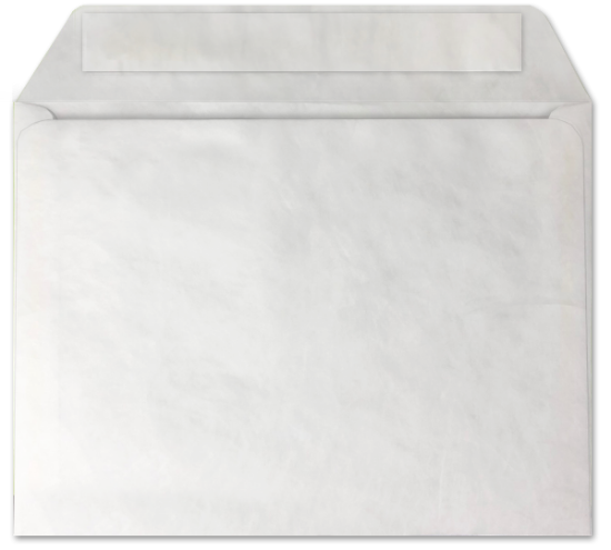 Picture of 9 X 12 14 Tyvek®® Booklet W/ KWIK-TAK®-BULK
