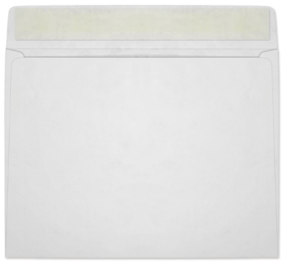 Picture of 10 X 13  14 Tyvek®® Booklet W/ KWIK-TAK®-BULK