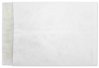 Picture of 9  X 12 14 Tyvek®® Catalog W/ KWIK-TAK® BULK