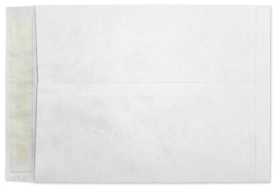 Picture of 9  X 12 14 Tyvek®® Catalog W/ KWIK-TAK® BULK