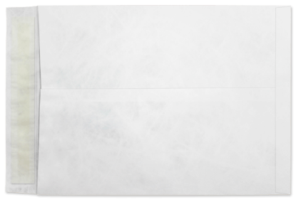 Picture of 10 X 13 14 Tyvek®® Catalog W/ KWIK-TAK® BULK