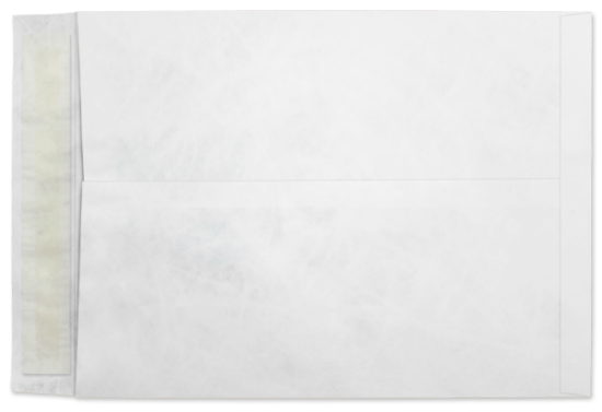 Picture of 10 X 13 14 Tyvek®® Catalog W/ KWIK-TAK® BULK