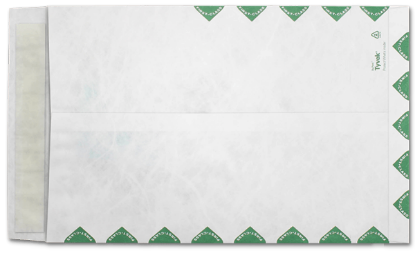 Picture of 10 X 15 14 Tyvek®® Catalog W/ KWIK-TAK® FIRST CLASS BORDER BULK