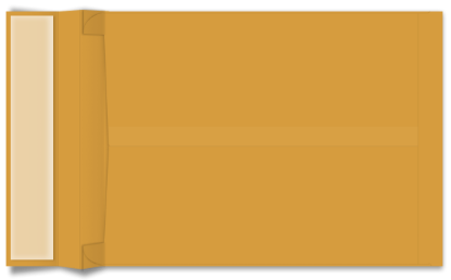 Picture of 10 X 13 X 2  40 ROPTEX ® EXPANSION Catalog W/ KWIK-TAK® -BULK