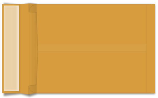 Picture of 10 X 13 X 2  40 ROPTEX ® EXPANSION Catalog W/ KWIK-TAK® -BULK