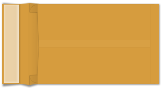 Picture of 10 X 15 X 2  40 ROPTEX® EXPANSION Booklet W/ KWIK-TAK® -BULK