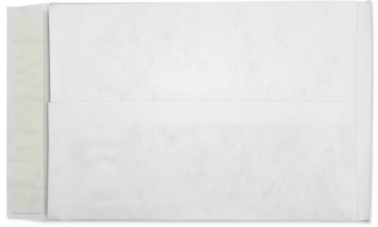 Picture of 10 X 13 X 1-1/2  14 Tyvek®® EXPANSION Catalog W/ KWIK-TAK®  -BULK