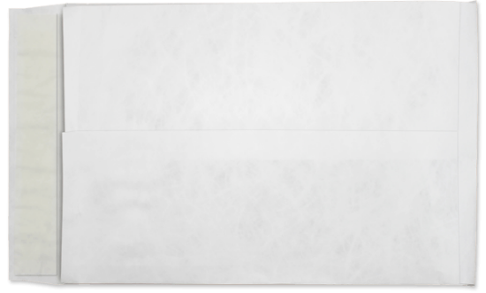 Picture of 10 X 13 X 1-1/2  14 Tyvek®® EXPANSION Catalog W/ KWIK-TAK®  -BULK